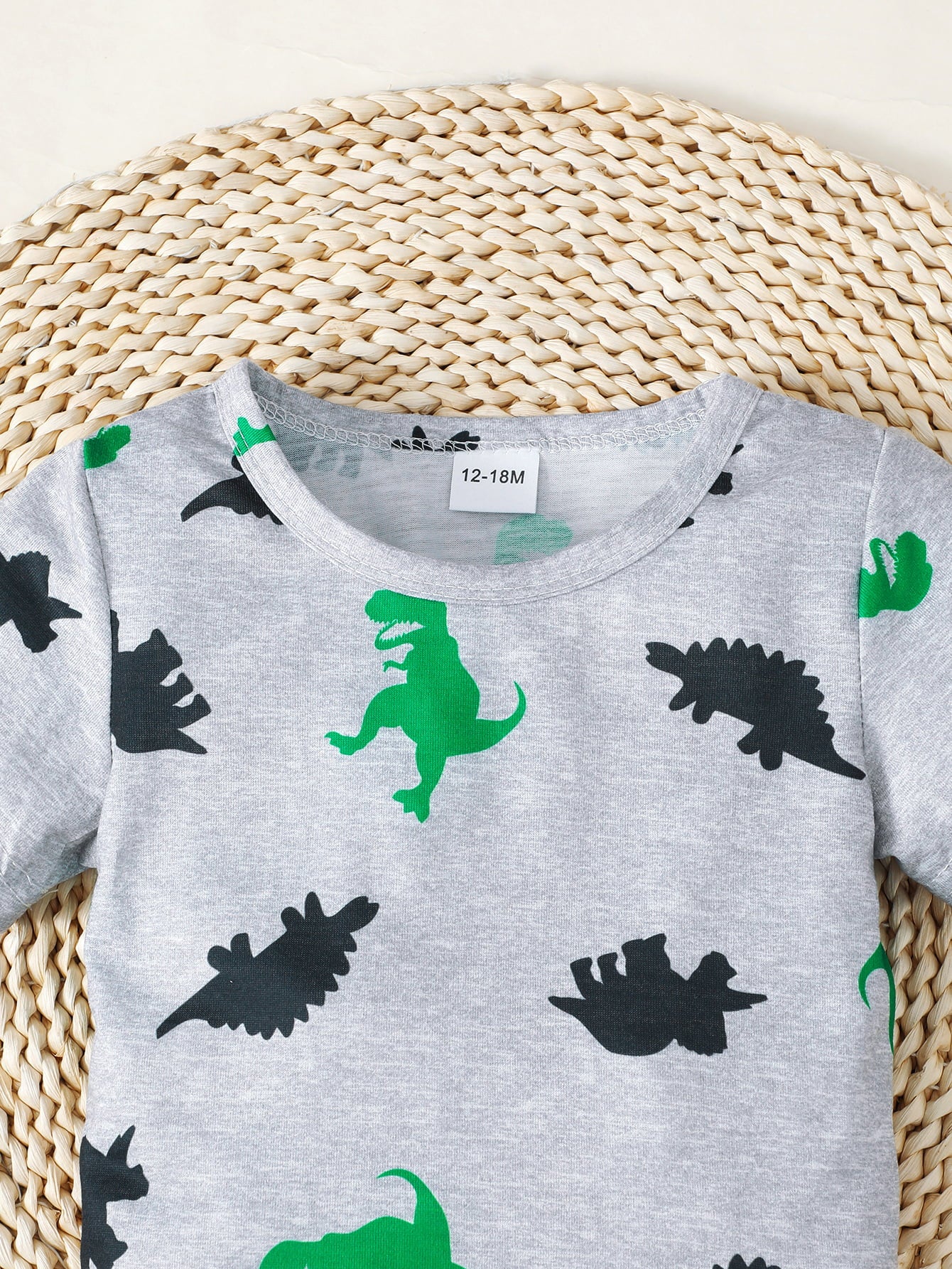 Dinosaur Print Round Neck Tee